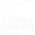 Owens Corning Logo